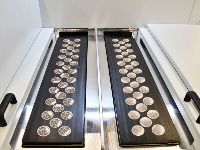 Trays mit Münzen