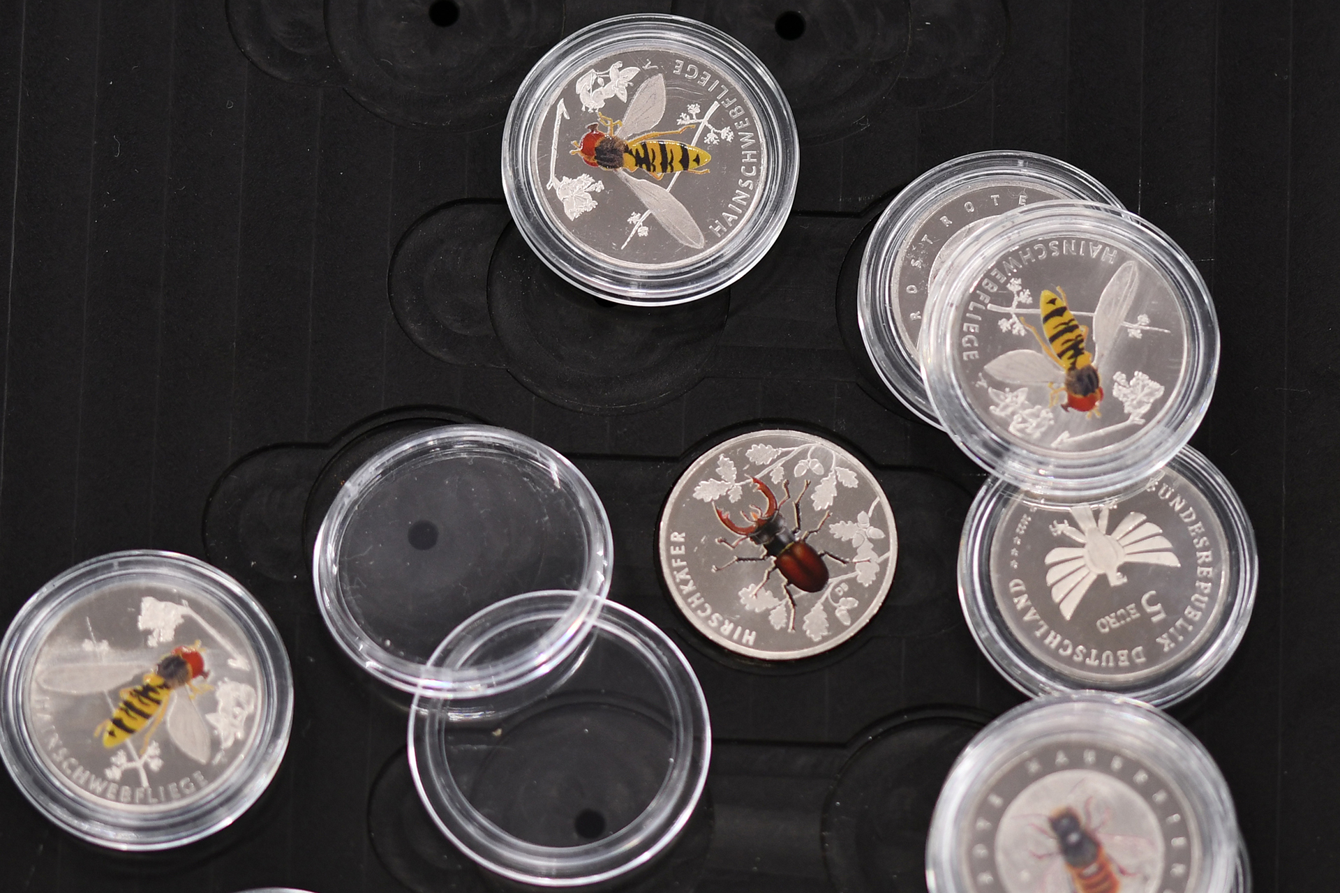 Mehrere Sammlermünzen mit farbigen Insektenmotiven liegen auf einem schwarzen Münz-Tray. Zu sehen sind unter anderem Münzen mit Schwebfliegen und einem Hirschkäfer. Einige Münzkapseln sind geöffnet oder lose verteilt.